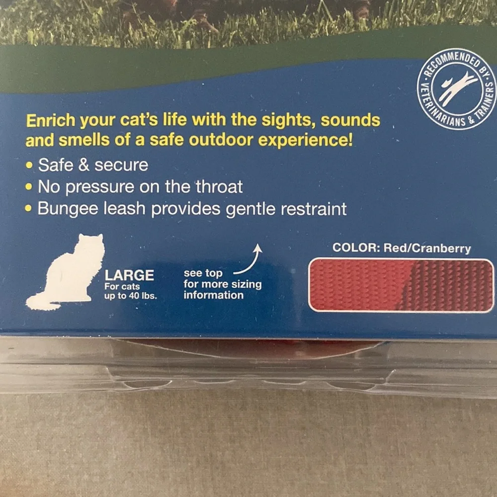 Cat harness and bungee cord leash.